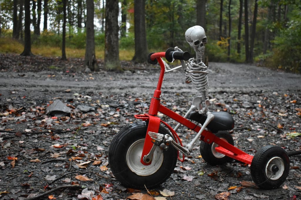 Halloween Skeleton Bike